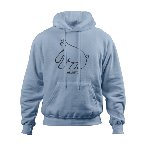 Hoodie Bear
