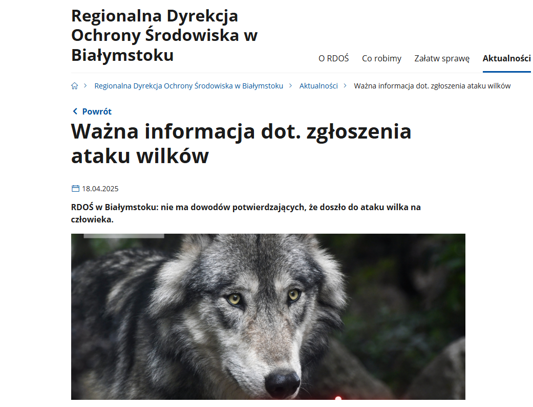Fake news οι αναφορές για επίθεση λύκων σε άνδρα στην Πολωνία