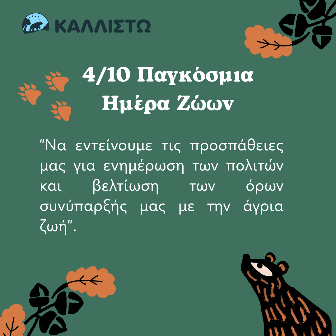 4/10 Παγκόσμια Ημέρα Ζώων