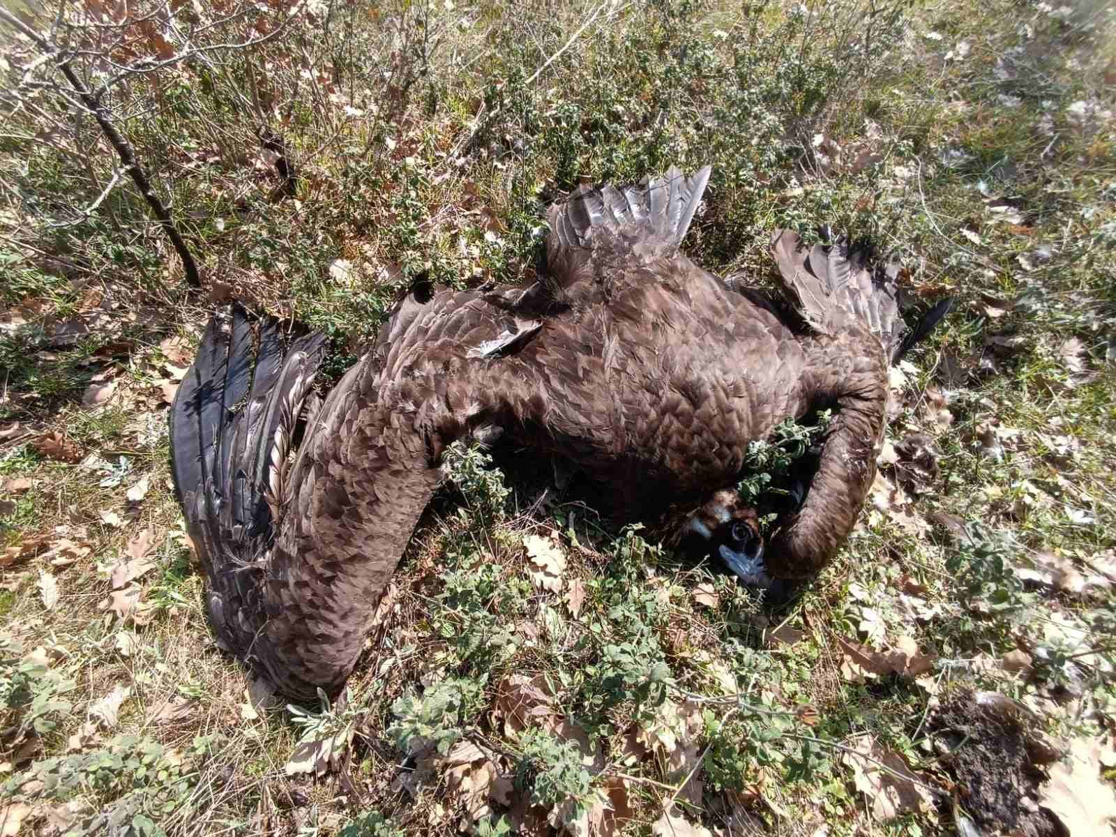 Ανοιχτή Επιστολή της Ομάδας Εργασίας Ενάντια στα Δηλητήρια προς την ηγεσία του ΥΠΕΝ
