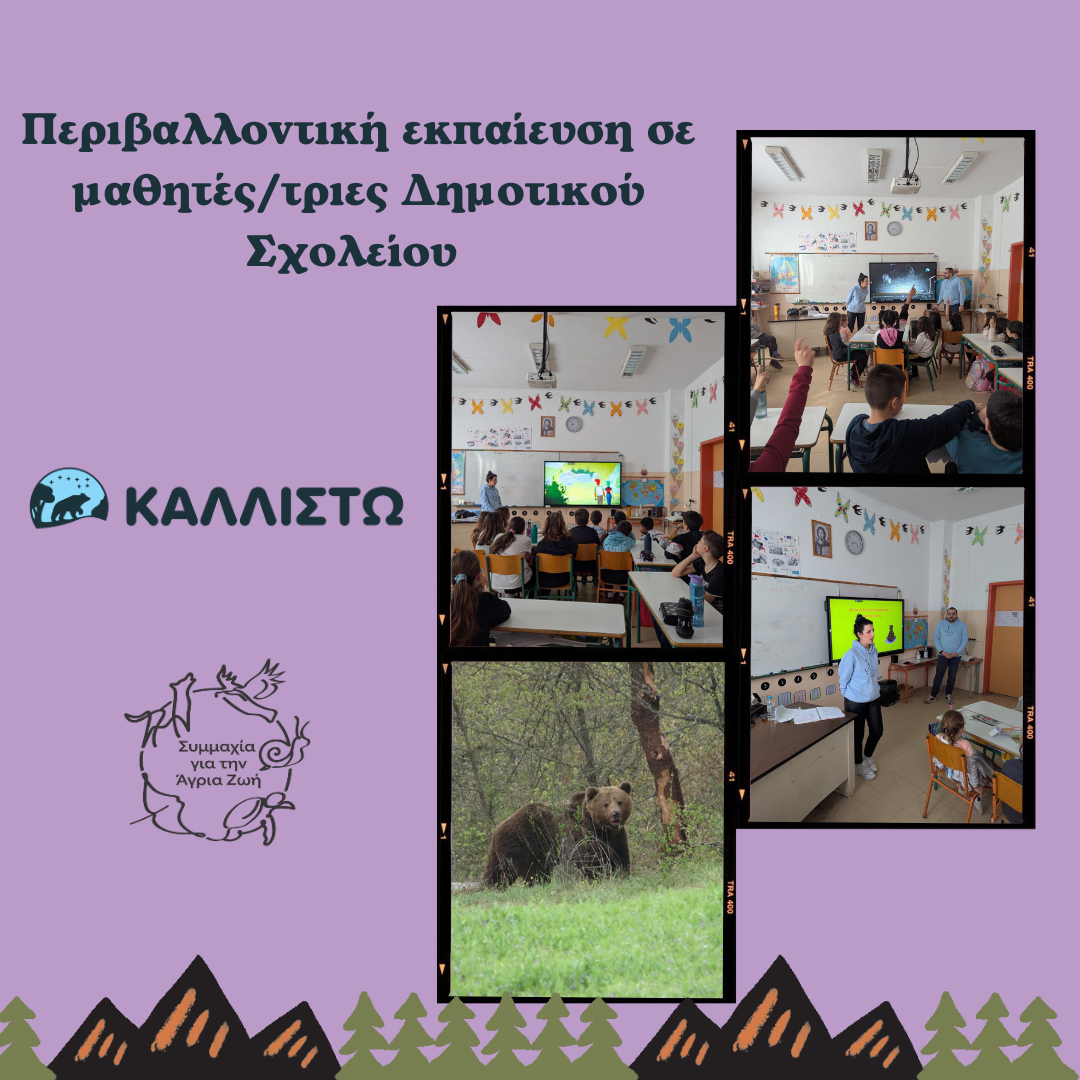 Περιβαλλοντική εκπαίδευση σε μαθητές/τριες Δημοτικού Σχολείου της Θεσσαλονίκης