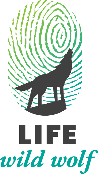 Life Wild Wolf